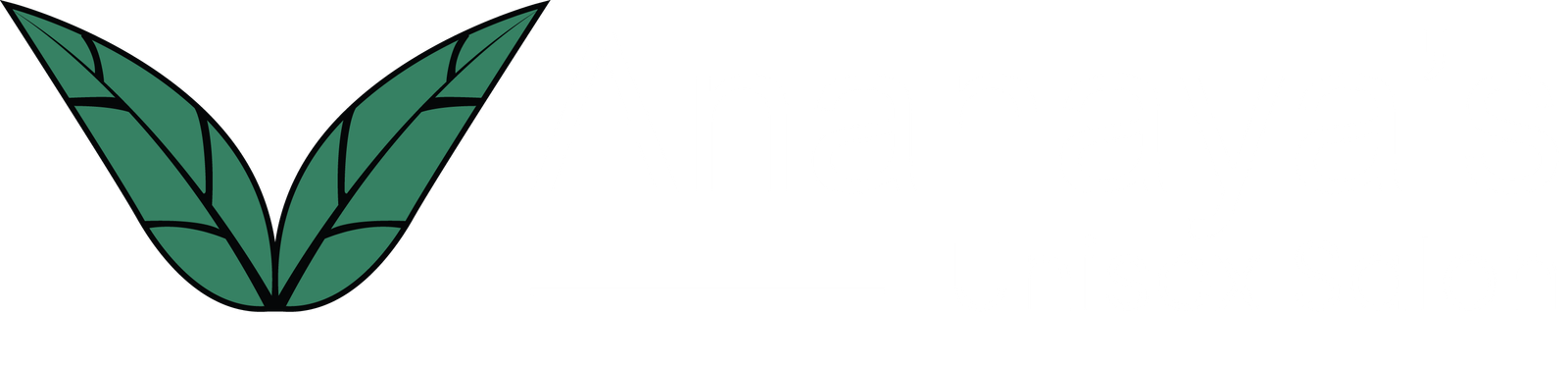 https://ananayas.in/wp-content/uploads/2024/07/ana-3.png